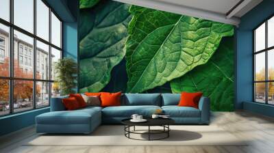 A natural leaf pattern for an eco concept design. Wall mural