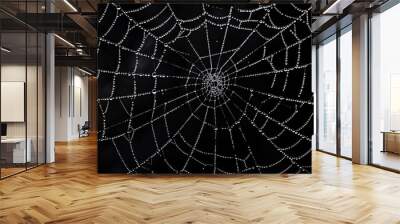 A spider web on a black background. Wall mural