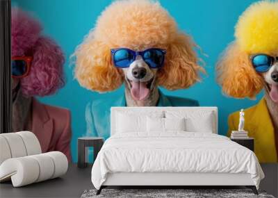 Colorful fashion background with three poodle dogs wearing colorful suits, sunglasses. Wall mural