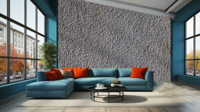 Texture for the backdrop, rough grainy gray stucco. Wall mural