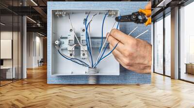 Using a stripping tool for mounting electrical box Wall mural