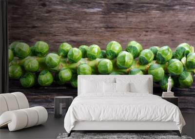 Sprouts on the stalk Wall mural