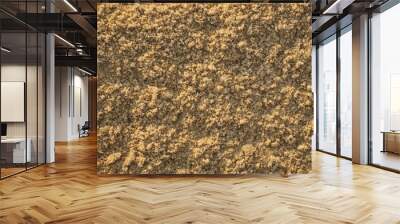 Sand texture Wall mural