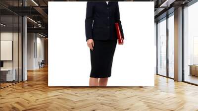 Business woman Wall mural