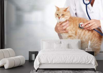 Cat and veterinarian doctor Wall mural