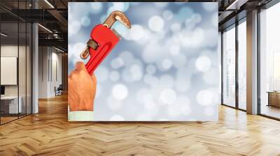 Hand of plumber with a wrench. Wall mural