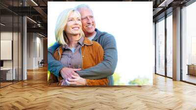 Happy senior couple. Wall mural