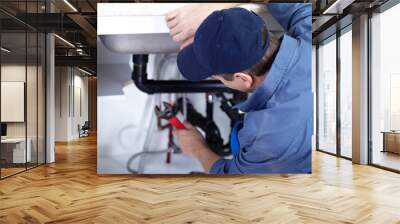 plumber repairs a sink. Wall mural