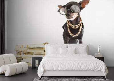 A small doggy with banknotes. Dog financier. Animal businessman banker. Toy terrier with glasses. Dog with gold chains around his neck. Dogs breed Prague Ratter. Pocket dogs. Pets. Wall mural