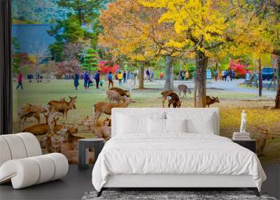 Japan. Nature Park in Nara. Deer live freely in a Japanese Park. A herd of deer on the background of visitors to the Nara. Japan in the fall. Guide to Japan. Natural parks of the world. Wall mural