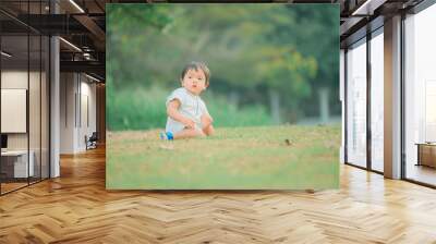 Boy among green grass on a summer day. A small child has fun in the fresh air. Baby explores the nature Wall mural