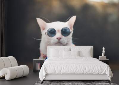 Portrait of Hipster White Cat wearing sunglasses  and shirt,animal  fashion concept. Wall mural