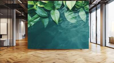 
top view of water surface with shadow of tropical leaves. abstract banner beautiful background concept Wall mural