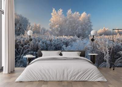 Winter landscape with snowy trees Wall mural