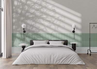 Simple monotone background with vases, tree
shadows and natural light. Wall mural