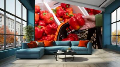 Customer wearing a green jacket is choosing red peppers from a supermarket display and putting them into their shopping cart Wall mural