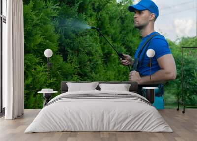 Gardener applying insecticide fertilizer to his thuja using a sprayer Wall mural