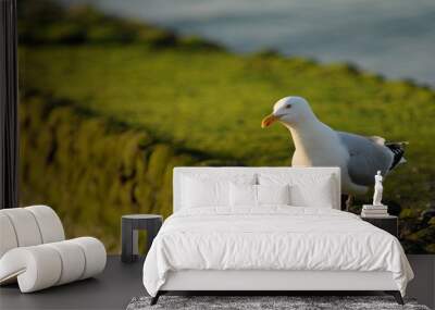 Mouette Wall mural