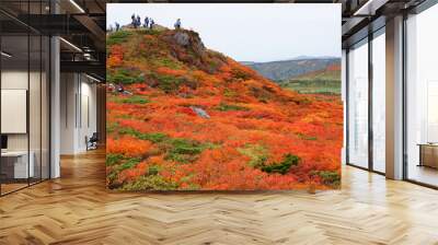 A climber who looks down on the vivid autumn leaves from the summit of Mt. Mitsuishi Wall mural