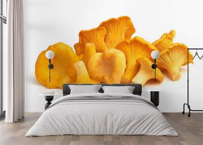 Raw fresh chanterelles mushrooms, isolated on white background. Wall mural