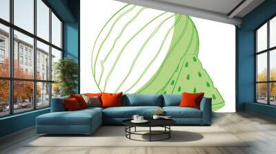 Watermelon delicious fruit icon vector illustration graphic design Wall mural