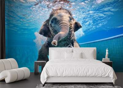 A funny smiled little elephant dives with a splash of water underwater at summer water pool. Wall mural