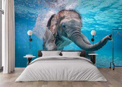 A funny smiled little elephant dives with a splash of water underwater at summer water pool. Wall mural