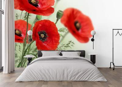 Poppies flowers border Wall mural