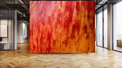 Red apple texture Wall mural