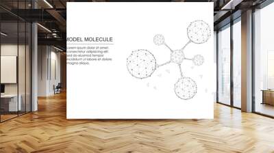 Model molecule with low poly wireframe on isolated white illustration Wall mural