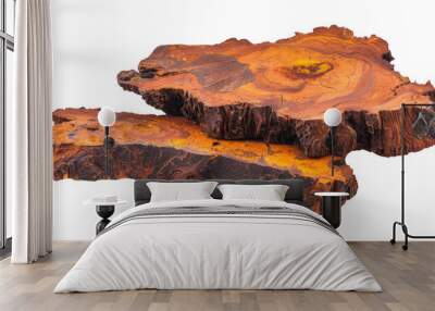 chaga healthy mushroom isolated  Wall mural