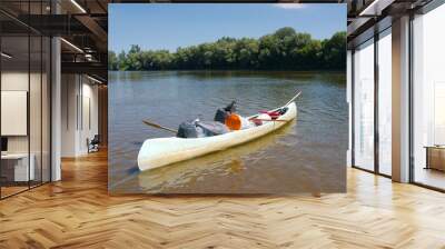 Canoe on the River Wall mural