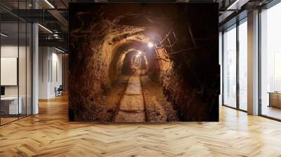 Old Mine Tunnel Wall mural