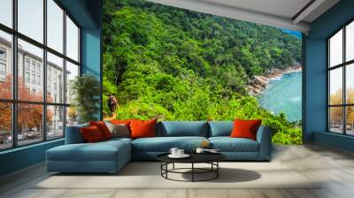 Hiking, Ubatuba, Sao Paulo, Brazil - Paradise tropical beach with white sand, blue and calm waters, without people on a sunny day and blue sky of the Brazilian coast in high resolution Wall mural