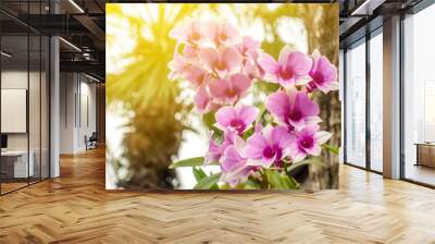 The closed up of orchid flowers branch next to the tree in the flare light of natral morning.  Wall mural