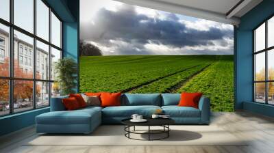 green field and blue sky Wall mural