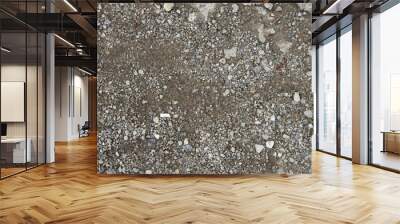 rock gravel mixed with dirt sand texture top view Wall mural