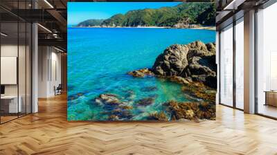 Stunning Mutton Cove on Abel Tasman Coast Track, Abel Tasman N.P, Tasman, South Island, New Zealand Wall mural