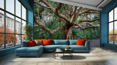 old oak tree Wall mural