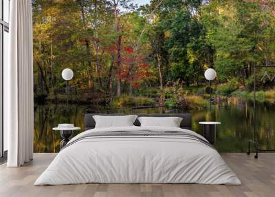 c&o canal fall scene Wall mural