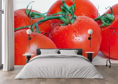 Tomates en grappe sur fond blanc Wall mural