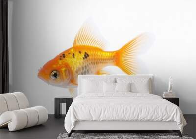 Goldfish on light background Wall mural