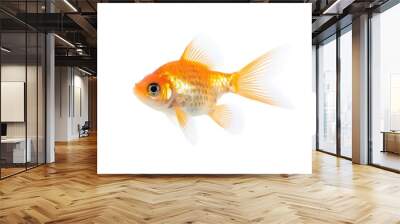 Goldfish on light background Wall mural