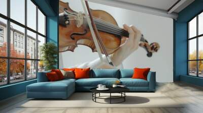 violin light background Wall mural