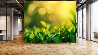 Fresh healthy green bio background with abstract blurred foliage and bright summer sunlight and a central copyspace for your text or advertisment. AI generated illustration Wall mural