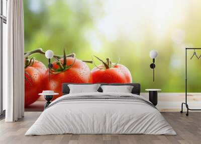 Close up of fresh ripe tomatoes on white wood table and green background Beautiful red ripe heirloom tomatoes Gardening tomato photograph with copy space Shallow depth of field Wall mural