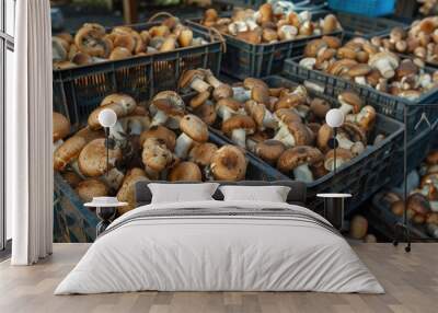 Organic raw wild edible forest mushrooms sold from plastic crates on market stall Wall mural