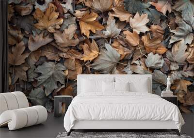 Various types of dead leaves creating a textured surface with copy space image Wall mural