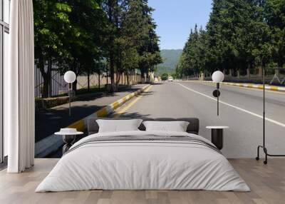 Street road scenery in green countryside. Empty road in mountain landscape Wall mural