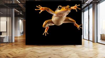 Tree frog jumping isolated on black background Wall mural